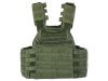 PLATE CARRIER QRS AT